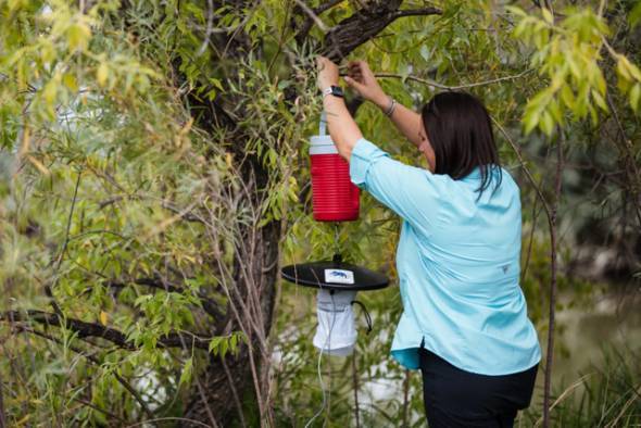 Πρόγραμμα κίνησης συνεργείων καταπολέμησης κουνουπιών από Δευτέρα 21 έως Παρασκευή 25 Ιουλίου 2025