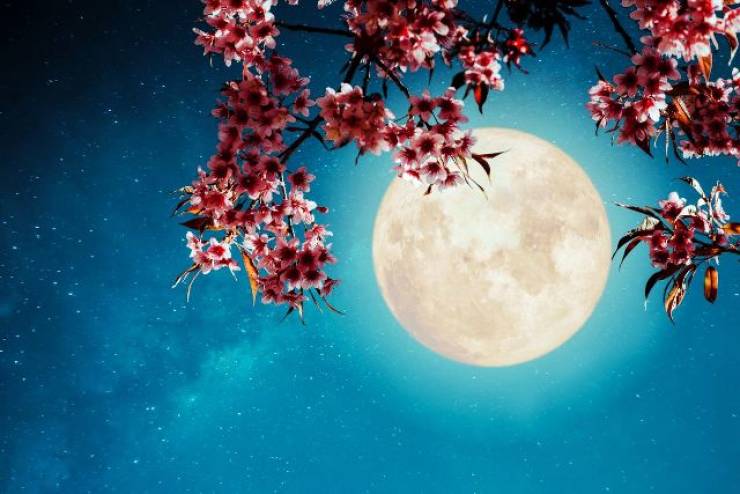 Πανσέληνος Αυγούστου 2023: Πότε θα απολαύσουμε το μοναδικό «Φεγγάρι του Οξύρρυγχου» - Eίναι το μεγαλύτερο του χρόνου