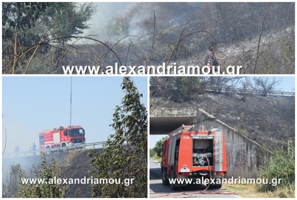 Φωτιά και πυκνοί καπνοί στον παράδρομο της Εγνατίας οδού(φωτο-βίντεο)