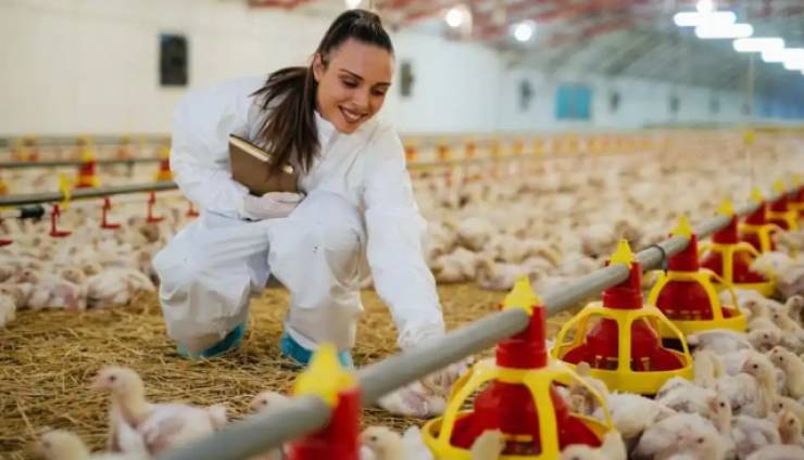 Διατύπωση γνώμης για Μελέτη Περιβαλλοντικών Επιπτώσεων για την Αδειοδότηση Πτηνοτροφικής μονάδας δυναμικότητας 34.020 κοτόπουλων στην Αλεξάνδρεια