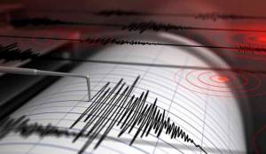 Λέκκας,Πρόεδρος ΟΑΣΠ: «Η ακολουθία μικρών σεισμών στο Κιλκίς είναι σε πλήρη εξέλιξη»