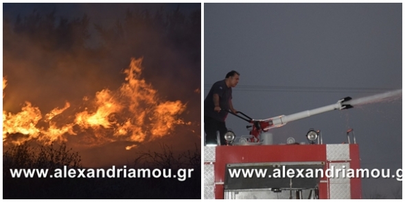 Φωτιά σε ¨άτυπη¨ χωματερή στα Τρίκαλα Ημαθίας (Φώτο - βίντεο)
