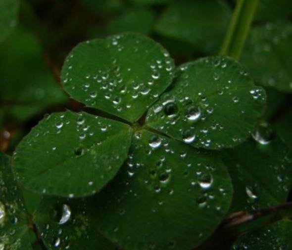 &Kappa;&alpha;&iota;&rho;ό&sigmaf;: Ά&sigma;&tau;&alpha;&tau;&omicron;&sigmaf;, &nu;&epsilon;&phi;&epsilon;&lambda;ώ&delta;&eta;&sigmaf; &mu;&epsilon; &beta;&rho;&omicron;&chi;έ&sigmaf; &kappa;&alpha;&iota; &sigma;&pi;&omicron;&rho;&alpha;&delta;&iota;&kappa;έ&sigmaf; &kappa;&alpha;&tau;&alpha;&iota;&gamma;ί&delta;&epsilon;&sigmaf;