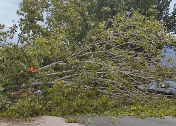 &Kappa;&lambda;&epsilon;&iota;&sigma;&tau;ό&sigmaf; &omicron; &delta;&rho;ό&mu;&omicron;&sigmaf; &Nu;&eta;&sigma;&epsilon;&lambda;ί&omicron;&upsilon; &ndash; &Nu;&eta;&sigma;&epsilon;&lambda;&omicron;&upsilon;&delta;ί&omicron;&upsilon; &lambda;ό&gamma;&omega; &kappa;&alpha;&tau;ά&rho;&rho;&epsilon;&upsilon;&sigma;&eta;&sigmaf; &delta;έ&nu;&tau;&rho;&omega;&nu;