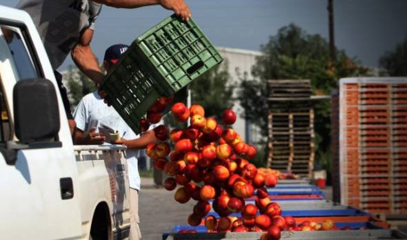 Αγροτικός Σύλλογος Γεωργών Βέροιας: ¨Η κοροϊδία και η εκμετάλλευση έχουν χτυπήσει κόκκινο¨