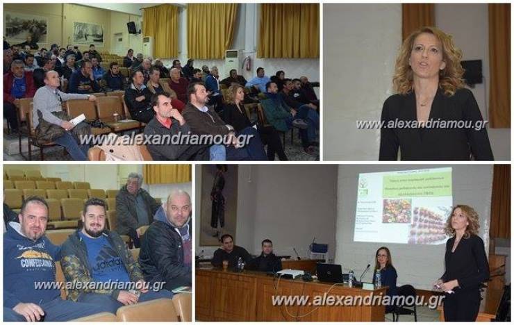 Αγροτικός Σύλλογος Αλεξάνδρειας:Ενημερωτική  Ημερίδα για την Ροδακινοκαλλιέργεια(βίντεο)