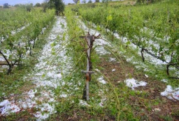 EΛΓΑ:ΑΝΑΚΟΙΝΩΘΗΚΑΝ ΤΑ ΠΟΡΙΣΜΑΤΑ ΓΙΑ ΤΟ ΧΑΛΑΖΙ ΤΗΣ 17ης ΜΑΪΟΥ 2017