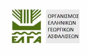 Ανακοινώθηκαν από τον ΕΛ.Γ.Α. τα πορίσματα για τις ζημιές από το Χαλάζι