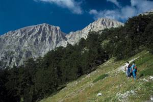 Όλυμπος: Ένα σπάνιο γλυπτό της φύσης