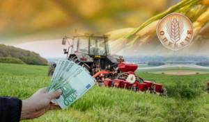 Συνεχίζεται η έρευνα της ΕΛ.ΑΣ. στον ΟΠΕΚΕΠΕ – Τι εξετάζεται