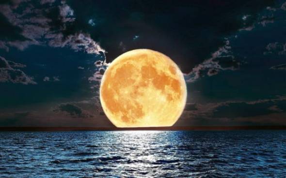 &Sigma;&pi;ά&nu;&iota;&omicron; &phi;&alpha;&iota;&nu;ό&mu;&epsilon;&nu;&omicron; &tau;&omicron;&nu; &Alpha;ύ&gamma;&omicron;&upsilon;&sigma;&tau;&omicron;: &Delta;ύ&omicron; &upsilon;&pi;&epsilon;&rho;&pi;&alpha;&nu;&sigma;έ&lambda;&eta;&nu;&omicron;&iota; &pi;&omicron;&upsilon; &delta;&epsilon;&nu; &theta;&alpha; &xi;&alpha;&nu;&alpha;&epsilon;&mu;&phi;&alpha;&nu;&iota;&sigma;&tau;&omicron;ύ&nu; &gamma;&iota;&alpha; &tau;&omicron;&upsilon;&lambda;ά&chi;&iota;&sigma;&tau;&omicron;&nu; 14 &chi;&rho;ό&nu;&iota;&alpha;