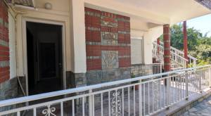 &Epsilon;&nu;&omicron;&iota;&kappa;&iota;ά&zeta;&epsilon;&tau;&alpha;&iota; &delta;&iota;&alpha;&mu;έ&rho;&iota;&sigma;&mu;&alpha; 55&tau;.&mu;. &sigma;&tau;&eta;&nu; &Alpha;&lambda;&epsilon;&xi;ά&nu;&delta;&rho;&epsilon;&iota;&alpha; - &Pi;&lambda;ή&rho;&omega;&sigmaf; &alpha;&nu;&alpha;&kappa;&alpha;&iota;&nu;&iota;&sigma;&mu;έ&nu;&omicron;
