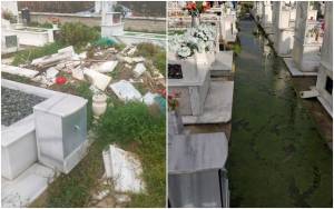 &Alpha;&nu;&alpha;&gamma;&nu;ώ&sigma;&tau;&eta;&sigmaf;: &Psi;&upsilon;&chi;&omicron;&sigma;ά&beta;&beta;&alpha;&tau;&omicron; &mu;&epsilon; &Tau;&rho;&alpha;&gamma;&iota;&kappa;έ&sigmaf; &Epsilon;&iota;&kappa;ό&nu;&epsilon;&sigmaf; &sigma;&tau;&alpha; &Kappa;&omicron;&iota;&mu;&eta;&tau;ή&rho;&iota;&alpha; &Alpha;&lambda;&epsilon;&xi;ά&nu;&delta;&rho;&epsilon;&iota;&alpha;&sigmaf; &pi;&omicron;&upsilon; &pi;&rho;&omicron;&sigma;&beta;ά&lambda;&lambda;&omicron;&upsilon;&nu; &nu;&epsilon;&kappa;&rho;&omicron;ύ&sigmaf; &kappa;&alpha;&iota; &zeta;&omega;&nu;&tau;&alpha;&nu;&omicron;ύ&sigmaf;