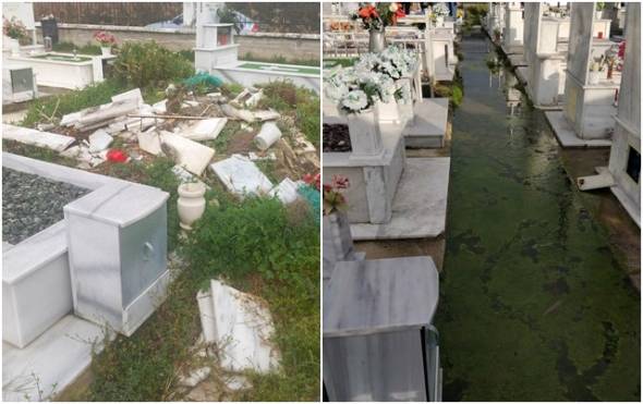 &Alpha;&nu;&alpha;&gamma;&nu;ώ&sigma;&tau;&eta;&sigmaf;: &Psi;&upsilon;&chi;&omicron;&sigma;ά&beta;&beta;&alpha;&tau;&omicron; &mu;&epsilon; &Tau;&rho;&alpha;&gamma;&iota;&kappa;έ&sigmaf; &Epsilon;&iota;&kappa;ό&nu;&epsilon;&sigmaf; &sigma;&tau;&alpha; &Kappa;&omicron;&iota;&mu;&eta;&tau;ή&rho;&iota;&alpha; &Alpha;&lambda;&epsilon;&xi;ά&nu;&delta;&rho;&epsilon;&iota;&alpha;&sigmaf; &pi;&omicron;&upsilon; &pi;&rho;&omicron;&sigma;&beta;ά&lambda;&lambda;&omicron;&upsilon;&nu; &nu;&epsilon;&kappa;&rho;&omicron;ύ&sigmaf; &kappa;&alpha;&iota; &zeta;&omega;&nu;&tau;&alpha;&nu;&omicron;ύ&sigmaf;