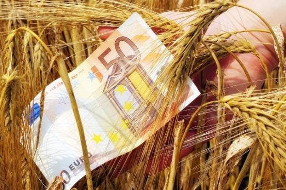 Οδηγός πληρωμών για αγρότες -Πότε και σε ποιους καταβάλλονται χρήματα