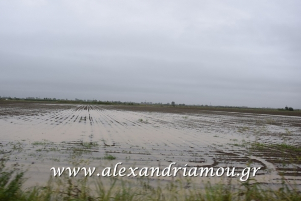 &Alpha;&nu;&alpha;&kappa;&omicron;&iota;&nu;ώ&theta;&eta;&kappa;&alpha;&nu; &tau;&alpha; &pi;&omicron;&rho;ί&sigma;&mu;&alpha;&tau;&alpha; &epsilon;&kappa;&tau;ί&mu;&eta;&sigma;&eta;&sigmaf; &tau;&omega;&nu; &zeta;&eta;&mu;&iota;ώ&nu; &alpha;&pi;ό &tau;&omicron; &zeta;&eta;&mu;&iota;&omicron;&gamma;ό&nu;&omicron; &alpha;ί&tau;&iota;&omicron; &Beta;&Rho;&Omicron;&Chi;&Omicron;&Pi;&Tau;&Omega;&Sigma;&Eta; &tau;&eta;&sigmaf; 21&eta;&sigmaf; &Omicron;&kappa;&tau;&omega;&beta;&rho;ί&omicron;&upsilon; 2015
