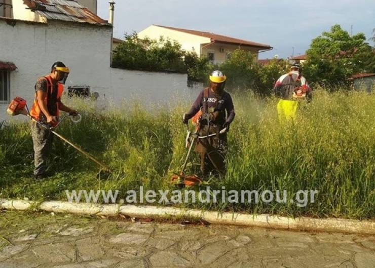 Νέο πρόγραμμα Κοινωφελούς Εργασίας σε Αλεξάνδρεια , Βέροια και Νάουσα