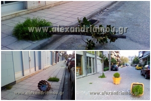 Εικόνες ντροπής και καταστροφής συνάντησε η κάμερα του alexandriamou.gr σε κεντρικούς δρόμους της Αλεξάνδρειας