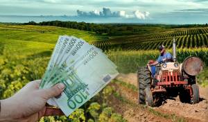 Τι αλλάζει στον ΕΛΓΑ – Γιατί είδαν μικρότερες ενισχύσεις από τον ΟΠΕΚΕΠΕ οι αγρότες