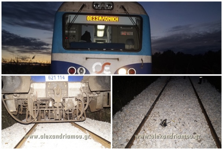 Νέα τραγωδία στις γραμμές του ΟΣΕ: Τρένο παρέσυρε και σκότωσε νεαρή γυναίκα μεταξύ Αλεξάνδρειας και Παλαιοχωρίου