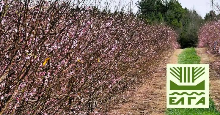 &Pi;&omicron;&rho;ί&sigma;&micro;&alpha;&tau;&alpha; &epsilon;&pi;&alpha;&nu;&epsilon;&kappa;&tau;ί&micro;&eta;&sigma;&eta;&sigmaf; &gamma;&iota;&alpha; &tau;&iota;&sigmaf; &zeta;&eta;&mu;&iota;έ&sigmaf; &alpha;&pi;ό &tau;&omicron;&nu; &pi;&alpha;&gamma;&epsilon;&tau;ό &tau;&eta;&sigmaf; 20/03/2025 &epsilon;&kappa;&delta;ό&theta;&eta;&kappa;&alpha;&nu; &gamma;&iota;&alpha; &tau;&eta;&nu; &Delta;/&Kappa; &Kappa;&alpha;&mu;&pi;&omicron;&chi;&omega;&rho;ί&omicron;&upsilon;