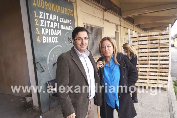 &Delta;&iota;&alpha;&nu;&omicron;&mu;ή &phi;&rho;&omicron;ύ&tau;&omega;&nu; &sigma;&tau;&omicron;&upsilon;&sigmaf; &delta;&iota;&kappa;&alpha;&iota;&omicron;ύ&chi;&omicron;&upsilon;&sigmaf; &tau;&eta;&sigmaf; &epsilon;&pi;&iota;&sigma;&iota;&tau;&iota;&sigma;&tau;&iota;&kappa;ή&sigmaf; &beta;&omicron;ή&theta;&epsilon;&iota;&alpha;&sigmaf; &sigma;&tau;&eta;&nu; &Alpha;&lambda;&epsilon;&xi;ά&nu;&delta;&rho;&epsilon;&iota;&alpha;