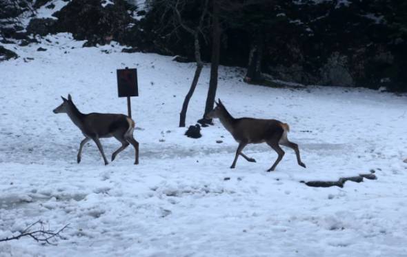 &Mu;&epsilon;&rho;&omicron;&mu;ή&nu;&iota;&alpha; 2023-2024: Έ&rho;&chi;&epsilon;&tau;&alpha;&iota; &beta;&alpha;&rho;&upsilon;&chi;&epsilon;&iota;&mu;&omega;&nu;&iota;ά, &omicron; &mu;ή&nu;&alpha;&sigmaf; &pi;&omicron;&upsilon; &theta;&alpha; &pi;έ&sigma;&omicron;&upsilon;&nu; &pi;&omicron;&lambda;&lambda;ά &chi;&iota;ό&nu;&iota;&alpha;, &phi;ό&beta;&omicron;&iota; &gamma;&iota;&alpha; &nu;έ&epsilon;&sigmaf; &pi;&lambda;&eta;&mu;&mu;ύ&rho;&epsilon;&sigmaf;