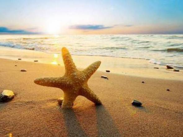 &Omicron;&Alpha;&Epsilon;&Delta;: &Alpha;&nu;&alpha;&kappa;&omicron;&iota;&nu;ώ&theta;&eta;&kappa;&alpha;&nu; &tau;&alpha; &pi;&rho;&omicron;&sigma;&omega;&rho;&iota;&nu;ά &alpha;&pi;&omicron;&tau;&epsilon;&lambda;έ&sigma;&mu;&alpha;&tau;&alpha; &gamma;&iota;&alpha; &tau;&omicron;&nu; &Kappa;&omicron;&iota;&nu;&omega;&nu;&iota;&kappa;ό &Tau;&omicron;&upsilon;&rho;&iota;&sigma;&mu;ό - &Pi;&omicron;ύ &nu;&alpha; &mu;&pi;&epsilon;ί&tau;&epsilon; &gamma;&iota;&alpha; &nu;&alpha; &tau;&alpha; &delta;&epsilon;ί&tau;&epsilon;