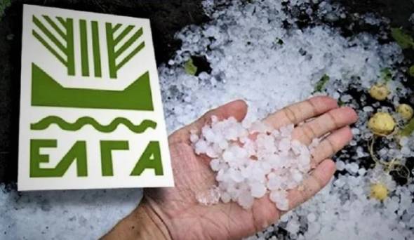 &Pi;&omicron;&rho;ί&sigma;&mu;&alpha;&tau;&alpha; &gamma;&iota;&alpha; &epsilon;&kappa;&tau;&iota;&mu;ή&sigma;&epsilon;&iota;&sigmaf; &zeta;&eta;&mu;&iota;ώ&nu; &alpha;&pi;ό &chi;&alpha;&lambda;ά&zeta;&iota; &gamma;&iota;&alpha; &tau;&iota;&sigmaf; &kappa;&alpha;&lambda;&lambda;&iota;έ&rho;&gamma;&epsilon;&iota;&epsilon;&sigmaf; &tau;&omega;&nu; &Delta;/&Kappa; &Sigma;&kappa;&upsilon;&lambda;&lambda;&iota;&tau;&sigma;ί&omicron;&upsilon; &kappa;&alpha;&iota; &Kappa;&alpha;&beta;&alpha;&sigma;ί&lambda;&omega;&nu;