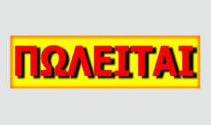 Πωλείται οικόπεδο σε χωριό του δήμου Αλεξάνδρειας