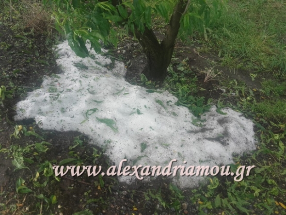 Χαλαζόπτωση σε χωριά του Δήμου Αλεξάνδρειας - Καβάσιλα,Σταυρό &amp; Πλατύ