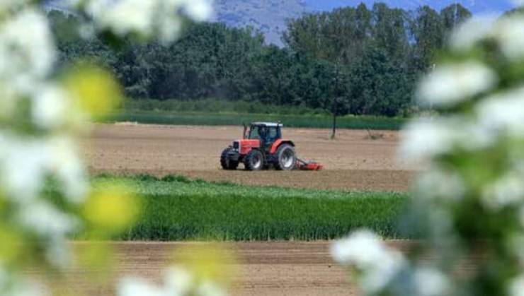 Αγρότες: Πότε πληρώνονται ενισχύσεις και λιπάσματα, τι θα γίνει με τις ζημιές από παγετό