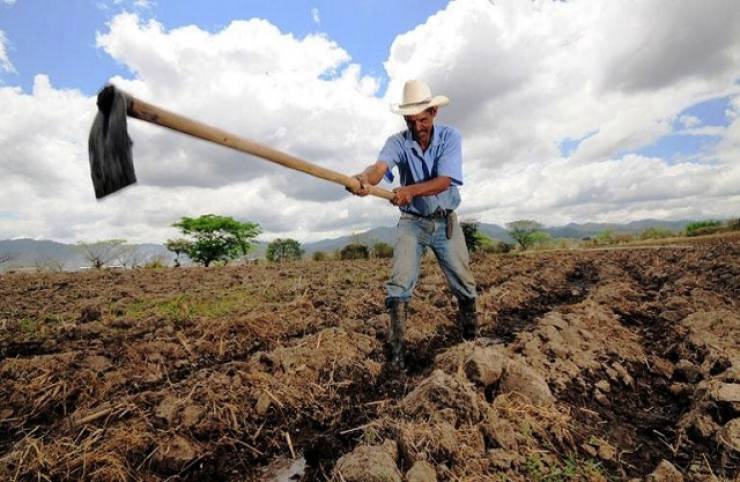 &Alpha;&nu;&omicron;ί&gamma;&epsilon;&iota; &eta; &alpha;&gamma;&omicron;&rho;ά &epsilon;&rho;&gamma;&alpha;&sigma;ί&alpha;&sigmaf; &gamma;&iota;&alpha; 400.000 &alpha;&lambda;&lambda;&omicron;&delta;&alpha;&pi;&omicron;ύ&sigmaf; &ndash; &Delta;&epsilon;ί&tau;&epsilon; &sigma;&epsilon; &pi;&omicron;&iota;&omicron;&upsilon;&sigmaf; &kappa;&lambda;ά&delta;&omicron;&upsilon;&sigmaf;