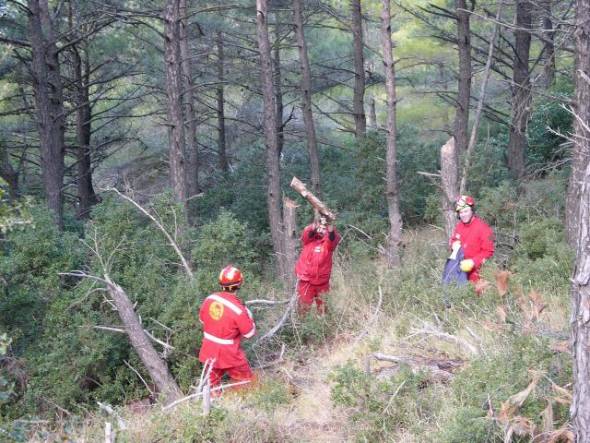 &Omicron;&Alpha;&Epsilon;&Delta;: &Alpha;&nu;&alpha;&rho;&tau;ή&theta;&eta;&kappa;&alpha;&nu; &tau;&alpha; &pi;&rho;&omicron;&sigma;&omega;&rho;&iota;&nu;ά &alpha;&pi;&omicron;&tau;&epsilon;&lambda;έ&sigma;&mu;&alpha;&tau;&alpha; &tau;&omicron;&upsilon; &kappa;&omicron;&iota;&nu;&omega;&phi;&epsilon;&lambda;&omicron;ύ&sigmaf; &pi;&rho;&omicron;&gamma;&rho;ά&mu;&mu;&alpha;&tau;&omicron;&sigmaf; &delta;&alpha;&sigma;&omicron;&pi;&rho;&omicron;&sigma;&tau;&alpha;&sigma;ί&alpha;&sigmaf; (&pi;ί&nu;&alpha;&kappa;&epsilon;&sigmaf;)