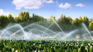 &Epsilon;&nu;&eta;&mu;&epsilon;&rho;&omega;&tau;&iota;&kappa;ή &sigma;&upsilon;&nu;ά&nu;&tau;&eta;&sigma;&eta; &gamma;&iota;&alpha; &tau;&eta; &lambda;&epsilon;&iota;&tau;&omicron;&upsilon;&rho;&gamma;ί&alpha; &kappa;&alpha;&iota; &tau;&eta; &delta;&iota;&alpha;&chi;&epsilon;ί&rho;&iota;&sigma;&eta; &tau;&omicron;&upsilon; &alpha;&rho;&delta;&epsilon;&upsilon;&tau;&iota;&kappa;&omicron;ύ &sigma;&upsilon;&sigma;&tau;ή&mu;&alpha;&tau;&omicron;&sigmaf; &gamma;&iota;&alpha; &tau;&omicron; έ&tau;&omicron;&sigmaf; 2026 &sigma;&tau;&omicron; &Delta;&eta;&mu;&alpha;&rho;&chi;&epsilon;ί&omicron; &Mu;&epsilon;&lambda;ί&kappa;&eta;&sigmaf;