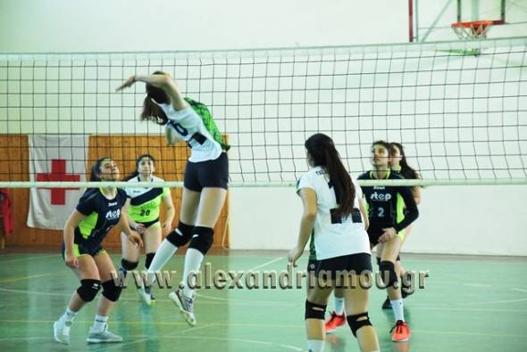 &Eta;&tau;&tau;ή&theta;&eta;&kappa;&alpha;&nu; &omicron;&iota; &kappa;&omicron;&rho;&alpha;&sigma;ί&delta;&epsilon;&sigmaf; &tau;&omicron;&upsilon; &Gamma;&Alpha;&Sigma; &Alpha;&Lambda;&Epsilon;&Xi;&Alpha;&Nu;&Delta;&Rho;&Epsilon;&Iota;&Alpha; &sigma;&tau;&omicron; &beta;ό&lambda;&epsilon;ϊ