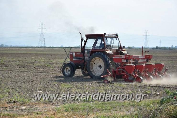 Αποζημιώσεις 15,7 εκατ. ευρώ πληρώνει αύριο ο ΕΛΓΑ -  4.202.147€ στην Ημαθία