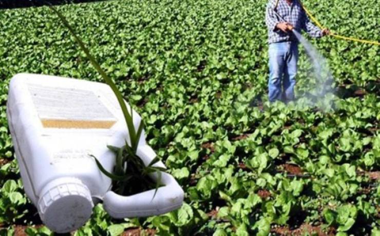 Στην τελική ευθεία η ανακύκλωση κενών πλαστικών συσκευασιών φυτοπροστατευτικών προϊόντων