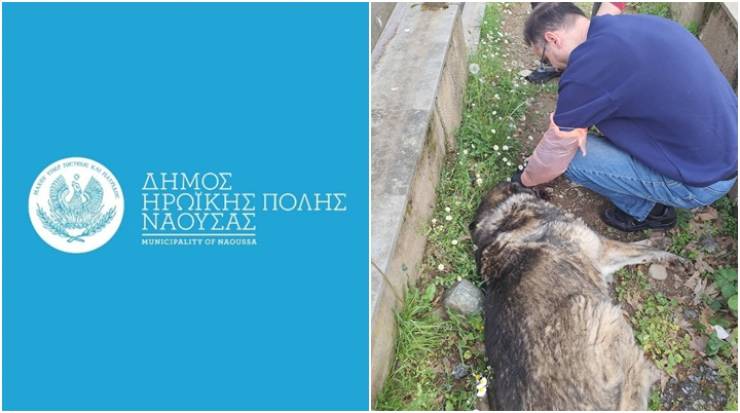 &Alpha;&pi;&omicron;&tau;&rho;&omicron;&pi;&iota;&alpha;&sigma;&mu;ό&sigmaf; &gamma;&iota;&alpha; &nu;έ&omicron; &pi;&epsilon;&rho;&iota;&sigma;&tau;&alpha;&tau;&iota;&kappa;ό &theta;&alpha;&nu;ά&tau;&omega;&sigma;&eta;&sigmaf; &alpha;&delta;έ&sigma;&pi;&omicron;&tau;&omicron;&upsilon; &zeta;ώ&omicron;&upsilon; &sigma;&tau;&omicron; Ά&lambda;&sigma;&omicron;&sigmaf; &Alpha;&gamma;ί&omicron;&upsilon; &Nu;&iota;&kappa;&omicron;&lambda;ά&omicron;&upsilon; - &Mu;&eta;&nu;ύ&sigma;&epsilon;&iota;&sigmaf; &kappa;&alpha;&tau;ά &alpha;&gamma;&nu;ώ&sigma;&tau;&omega;&nu; &alpha;&pi;ό &tau;&omicron;&nu; &Delta;ή&mu;&omicron; &Eta;&rho;&omega;&iota;&kappa;ή&sigmaf; &Pi;ό&lambda;&epsilon;&omega;&sigmaf; &Nu;ά&omicron;&upsilon;&sigma;&alpha;&sigmaf;