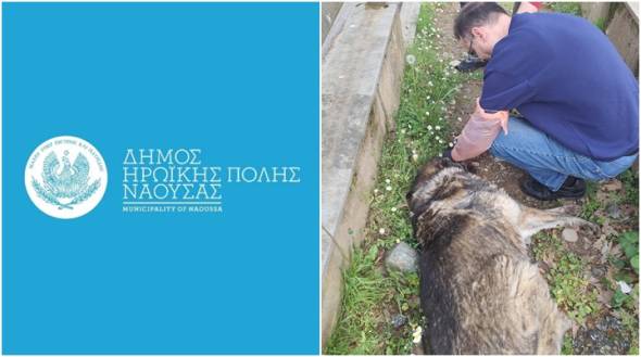 &Alpha;&pi;&omicron;&tau;&rho;&omicron;&pi;&iota;&alpha;&sigma;&mu;ό&sigmaf; &gamma;&iota;&alpha; &nu;έ&omicron; &pi;&epsilon;&rho;&iota;&sigma;&tau;&alpha;&tau;&iota;&kappa;ό &theta;&alpha;&nu;ά&tau;&omega;&sigma;&eta;&sigmaf; &alpha;&delta;έ&sigma;&pi;&omicron;&tau;&omicron;&upsilon; &zeta;ώ&omicron;&upsilon; &sigma;&tau;&omicron; Ά&lambda;&sigma;&omicron;&sigmaf; &Alpha;&gamma;ί&omicron;&upsilon; &Nu;&iota;&kappa;&omicron;&lambda;ά&omicron;&upsilon; - &Mu;&eta;&nu;ύ&sigma;&epsilon;&iota;&sigmaf; &kappa;&alpha;&tau;ά &alpha;&gamma;&nu;ώ&sigma;&tau;&omega;&nu; &alpha;&pi;ό &tau;&omicron;&nu; &Delta;ή&mu;&omicron; &Eta;&rho;&omega;&iota;&kappa;ή&sigmaf; &Pi;ό&lambda;&epsilon;&omega;&sigmaf; &Nu;ά&omicron;&upsilon;&sigma;&alpha;&sigmaf;