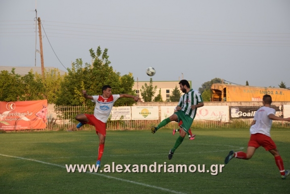 &Tau;&omicron; &pi;&rho;ό&gamma;&rho;&alpha;&mu;&mu;&alpha; &tau;&omega;&nu; &phi;&iota;&lambda;&iota;&kappa;ώ&nu; &pi;&rho;&omicron;&epsilon;&tau;&omicron;&iota;&mu;&alpha;&sigma;ί&alpha;&sigmaf; &tau;&omega;&nu; &omicron;&mu;ά&delta;&omega;&nu; &tau;&eta;&sigmaf; &Eta;&mu;&alpha;&theta;ί&alpha;&sigmaf; (13/8 - 14/8)