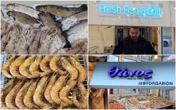 &Iota;&Chi;&Theta;&Upsilon;&Omicron;&Pi;&Omega;&Lambda;&Epsilon;&Iota;&Omicron; &Theta;&Alpha;&Nu;&Omicron;&Sigma;:T&omicron; &kappa;&alpha;&lambda;ύ&tau;&epsilon;&rho;&alpha; &kappa;&alpha;&iota; &phi;&theta;&eta;&nu;ό&tau;&epsilon;&rho;&alpha; &psi;ά&rho;&iota;&alpha;&hellip;&xi;έ&rho;&epsilon;&iota;&sigmaf; &pi;&omicron;ύ &theta;&alpha; &tau;&alpha; &beta;&rho;&epsilon;&iota;&sigmaf; &Phi;&rho;έ&sigma;&kappa;&alpha; &amp; &Psi;&eta;&mu;έ&nu;&alpha;!