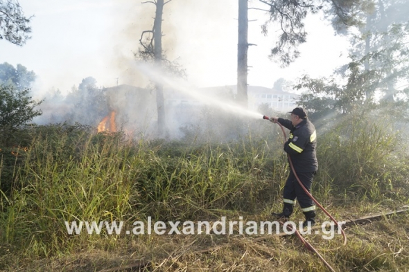 Φωτιά από ασυνείδητο πολίτη σε χόρτα και θάμνους στην περιοχή του ΕΠΑΛ Αλεξάνδρειας