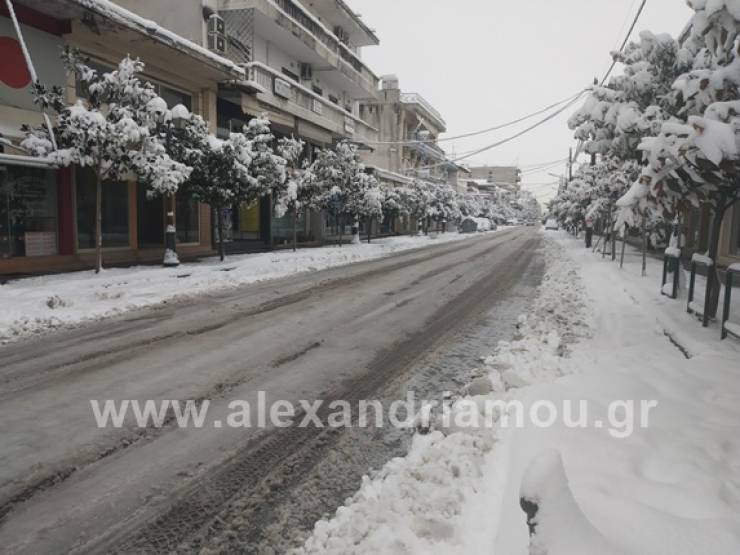 Τι επικρατεί στην πόλη της Αλεξάνδρειας - Χιονοστοιβάδα τα προβλήματα από τo xιονιά(Φωτορεπορτάζ)