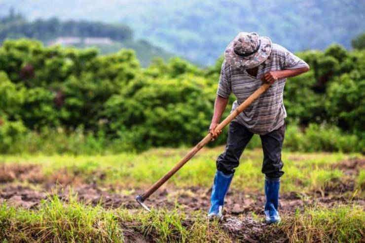 Ολοκληρώθηκε η εκκαθάριση ασφαλιστικών εισφορών εργατών γης που αμείβονται με εργόσημο για τα έτη 2017-2019