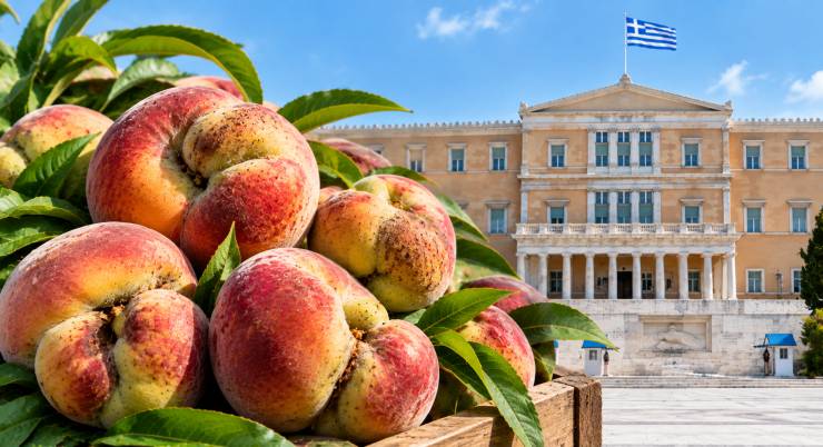 &Sigma;&tau;&eta; &Beta;&omicron;&upsilon;&lambda;ή &tau;&alpha; &pi;&alpha;&rho;&alpha;&mu;&omicron;&rho;&phi;&omega;&mu;έ&nu;&alpha; &rho;&omicron;&delta;ά&kappa;&iota;&nu;&alpha; &sigma;&epsilon; &Eta;&mu;&alpha;&theta;ί&alpha; &kappa;&alpha;&iota; &Pi;έ&lambda;&lambda;&alpha; - &Tau;έ&theta;&eta;&kappa;&epsilon; &tau;&omicron; &zeta;ή&tau;&eta;&mu;&alpha; &tau;&omega;&nu; &alpha;&pi;&omicron;&zeta;&eta;&mu;&iota;ώ&sigma;&epsilon;&omega;&nu; &kappa;&alpha;&iota; &tau;&omega;&nu; &alpha;&iota;&tau;&iota;ώ&nu;