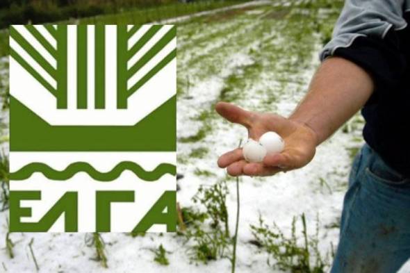 &Pi;&alpha;&rho;ά&tau;&alpha;&sigma;&eta; &gamma;&iota;&alpha; &tau;&iota;&sigmaf; &delta;&eta;&lambda;ώ&sigma;&epsilon;&iota;&sigmaf; &zeta;&eta;&mu;ί&alpha;&sigmaf; &sigma;&tau;&omicron;&upsilon;&sigmaf; &tau;&omicron;&pi;&iota;&kappa;&omicron;ύ&sigmaf; &Alpha;&nu;&tau;&alpha;&pi;&omicron;&kappa;&rho;&iota;&tau;έ&sigmaf; &Epsilon;&Lambda;&Gamma;&Alpha; &gamma;&iota;&alpha; &tau;&omicron; &chi;&alpha;&lambda;ά&zeta;&iota; &sigma;&tau;&iota;&sigmaf; &Delta;/&Tau;&Kappa; &Alpha;&lambda;&epsilon;&xi;ά&nu;&delta;&rho;&epsilon;&iota;&alpha;&sigmaf;, &Kappa;&omicron;&rho;&upsilon;&phi;ή&sigmaf;, &Pi;&rho;&alpha;&sigma;&iota;&nu;ά&delta;&alpha;&sigmaf;, &Pi;&lambda;&alpha;&tau;έ&omicron;&sigmaf;, &Tau;&rho;&iota;&kappa;ά&lambda;&omega;&nu; &kappa;&alpha;&iota; &Pi;&lambda;&alpha;&tau;ά&nu;&omicron;&upsilon; &kappa;&alpha;&iota; &gamma;&iota;&alpha; &tau;&omicron;&nu; &pi;&alpha;&gamma;&epsilon;&tau;ό &sigma;&tau;&eta;&nu; &Delta;/&Tau;&Kappa; &Sigma;&tau;&alpha;&upsilon;&rho;&omicron;ύ