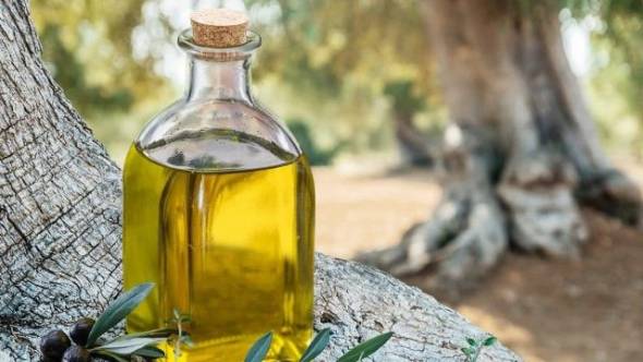 &Epsilon;&lambda;&alpha;&iota;ό&lambda;&alpha;&delta;&omicron;: &Tau;έ&lambda;&omicron;&sigmaf; &sigma;&tau;&omicron;&nu; &tau;&epsilon;&nu;&epsilon;&kappa;έ &alpha;&pi;ό &tau;&omicron; &chi;&omega;&rho;&iota;ό - &Tau;&iota; &omicron;&rho;ί&zeta;&omicron;&upsilon;&nu; &tau;&alpha; &nu;έ&alpha; &mu;έ&tau;&rho;&alpha;