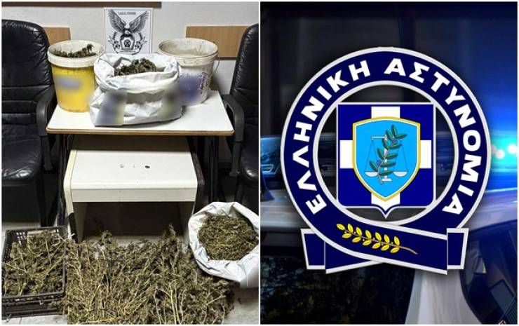 Σύλληψη για ναρκωτικά: Κατασχέθηκαν 1.252 γραμμάρια κάνναβης και 2.120 γραμμάρια αποξηραμένων κλώνων δενδρυλλίων κάνναβης