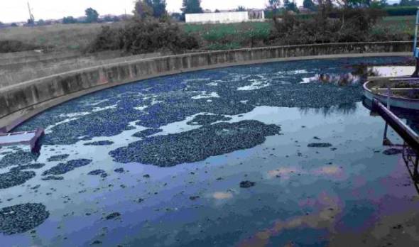 &Omicron;&iota;&kappa;&omicron;&lambda;&omicron;&gamma;&iota;&kappa;ή &Omicron;&mu;ά&delta;&alpha; &Beta;έ&rho;&omicron;&iota;&alpha;&sigmaf;: &Delta;&epsilon;&nu; &lambda;&epsilon;&iota;&tau;&omicron;&upsilon;&rho;&gamma;&epsilon;ί &omicron; &beta;&iota;&omicron;&lambda;&omicron;&gamma;&iota;&kappa;ό&sigmaf; &kappa;&alpha;&theta;&alpha;&rho;&iota;&sigma;&mu;ό&sigmaf; &Alpha;&lambda;&epsilon;&xi;ά&nu;&delta;&rho;&epsilon;&iota;&alpha;&sigmaf;